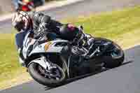 Middle Group Multicolour Bikes